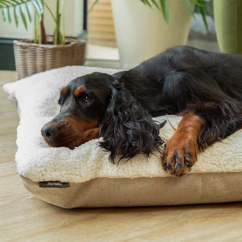 100% Recycled Eden Pillow Dog Bed - Cream