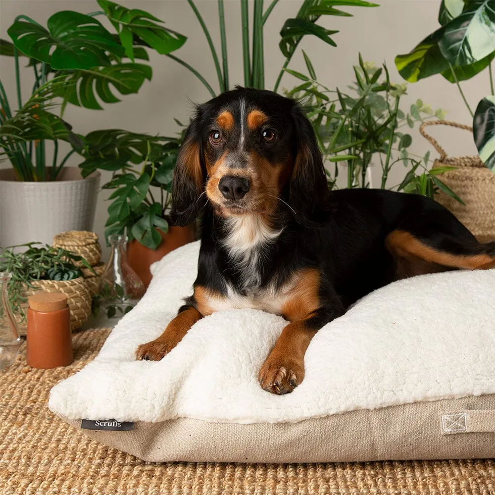 100% Recycled Eden Pillow Dog Bed - Cream