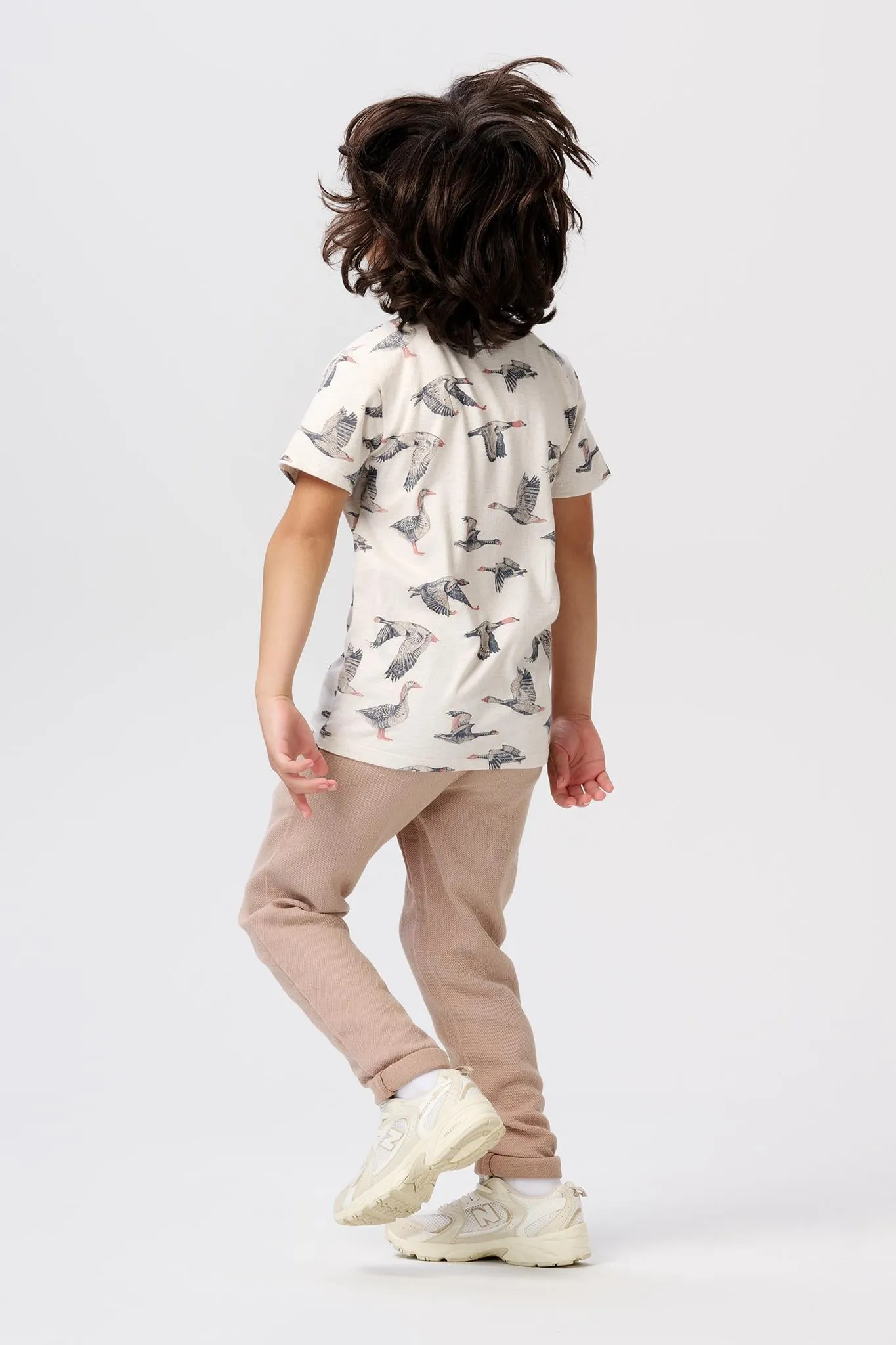 Boy's Dixon Chinos - Rabbit