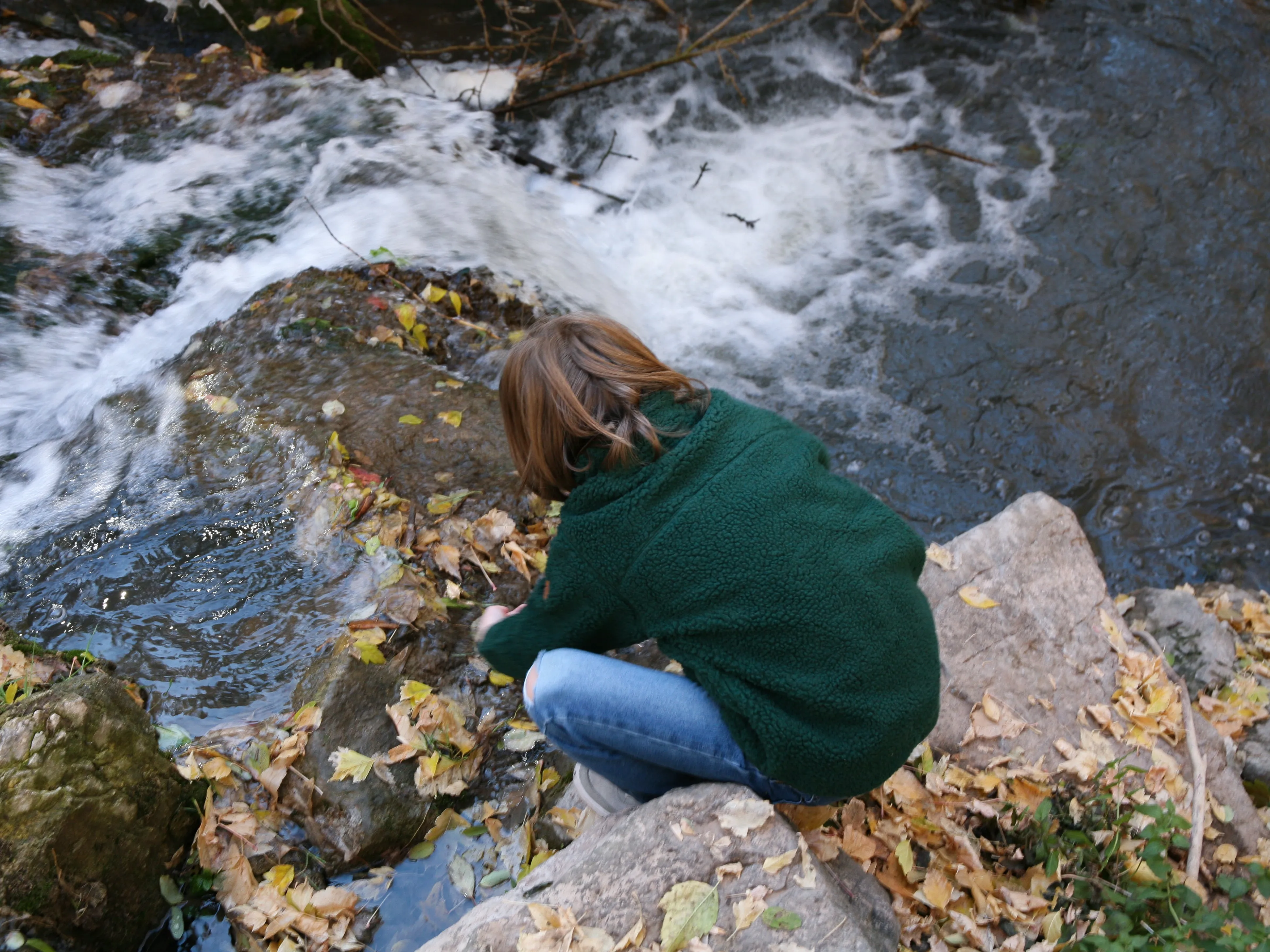 Sherpa Fleece (Forest Green)